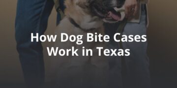 How Dog Bite Cases Work Under Texas Premises Liability Law