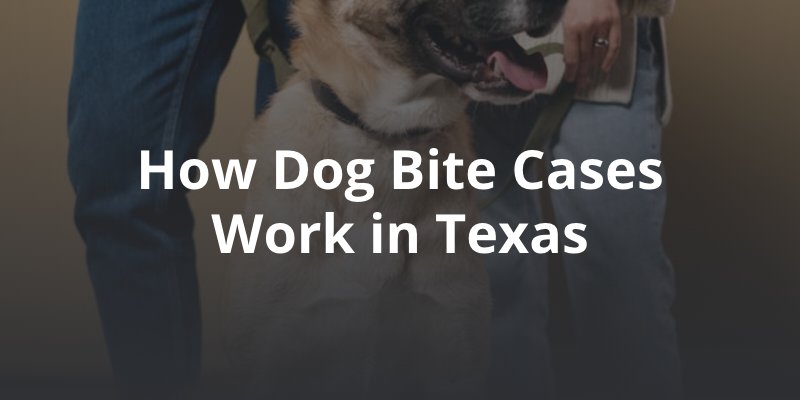 How Dog Bite Cases Work in Texas